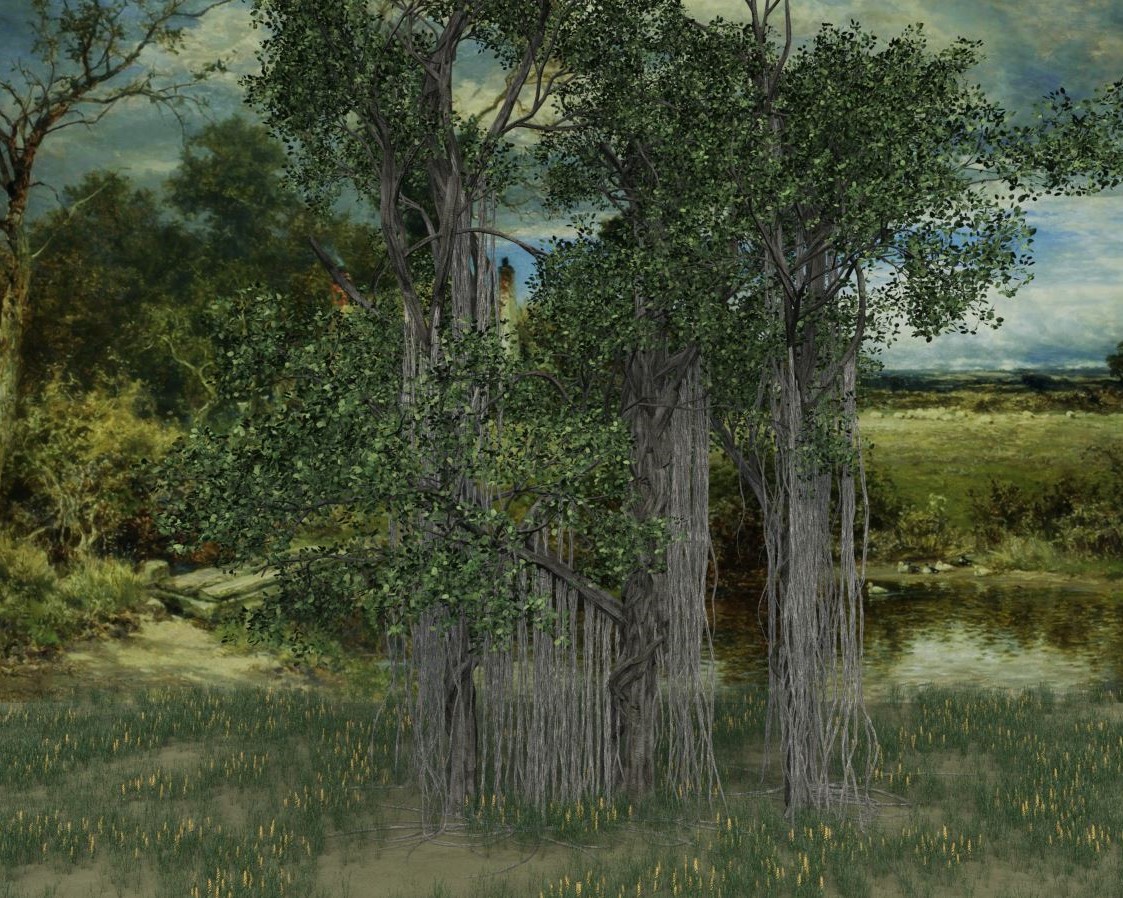 My new "Old Big Trees" (Baumbild)