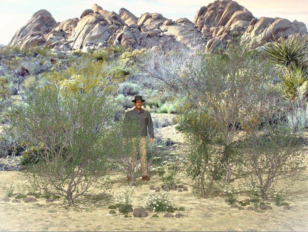 Landschaft Halbwüste mit "Machete"