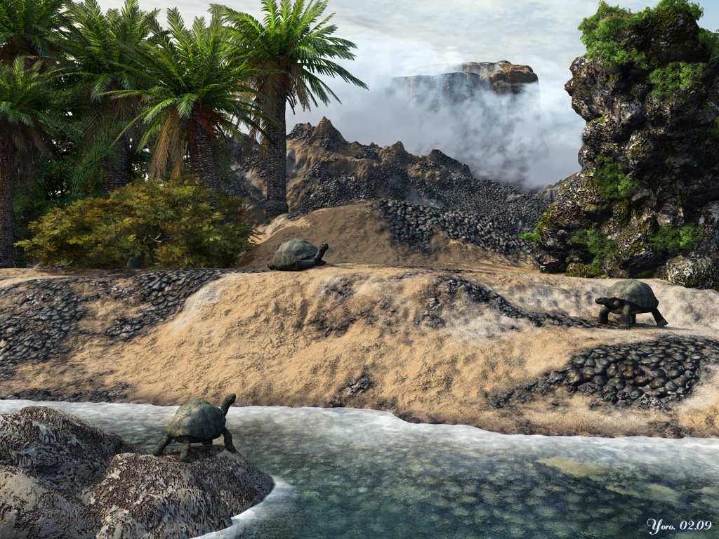 Die Insel der Schildkröten