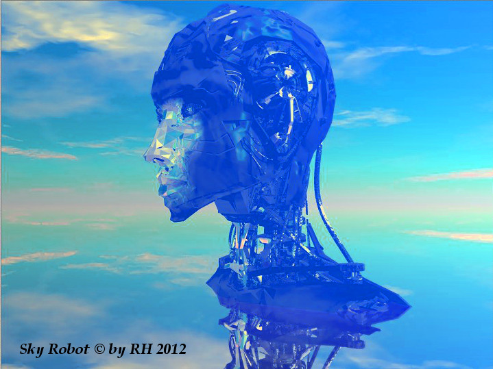 Sky Robot 