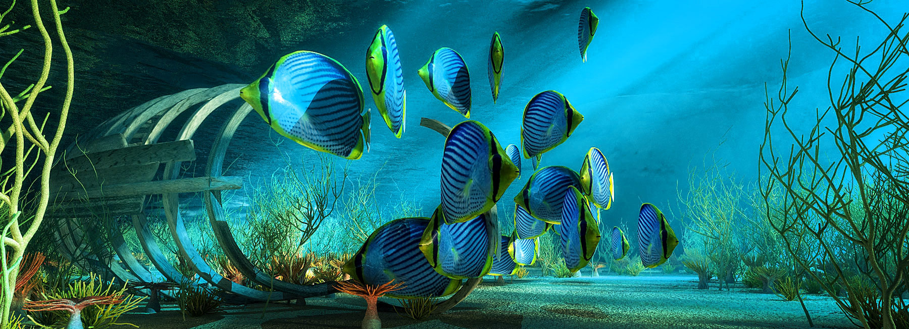Aquarium