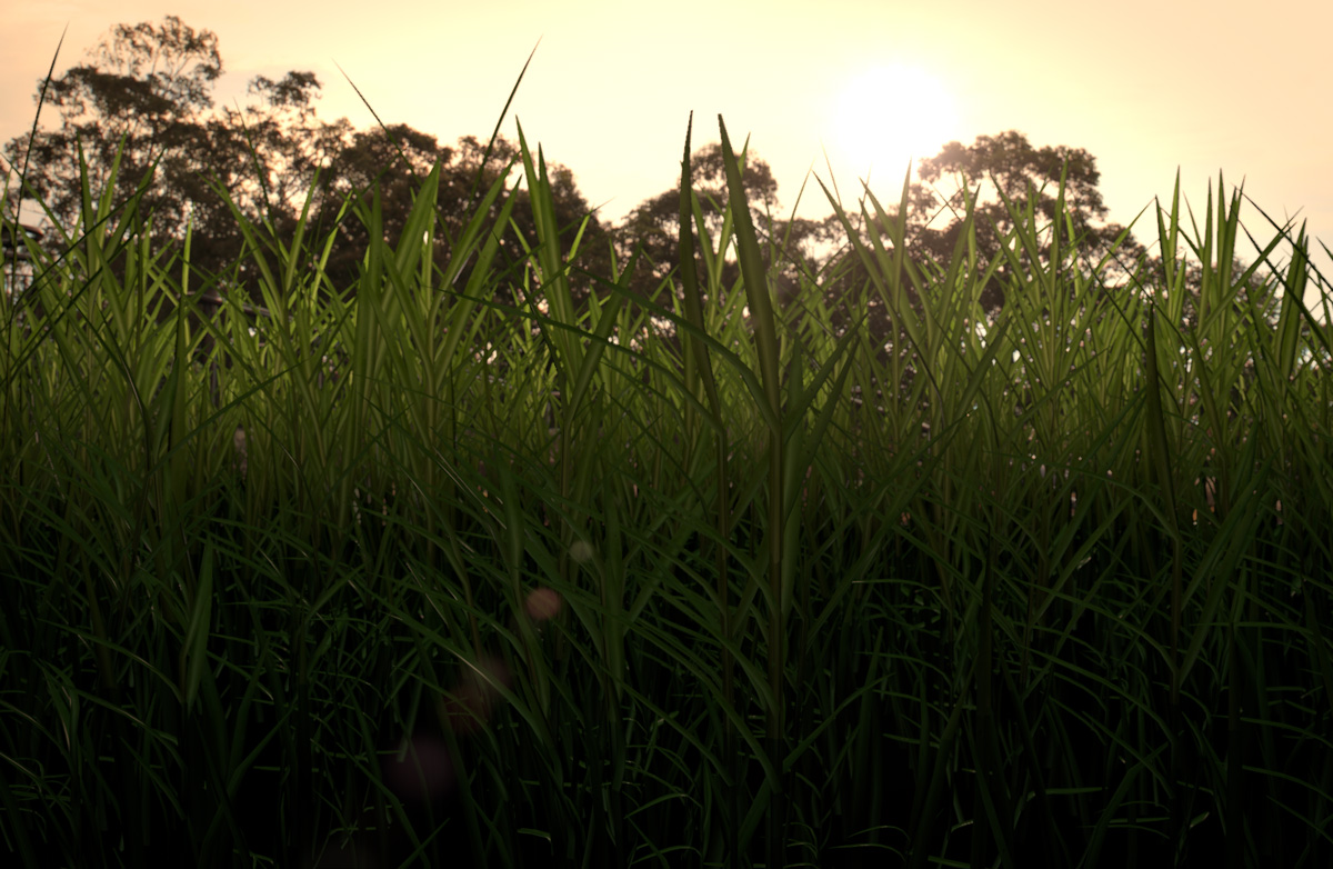 Einfach nur "Gras"