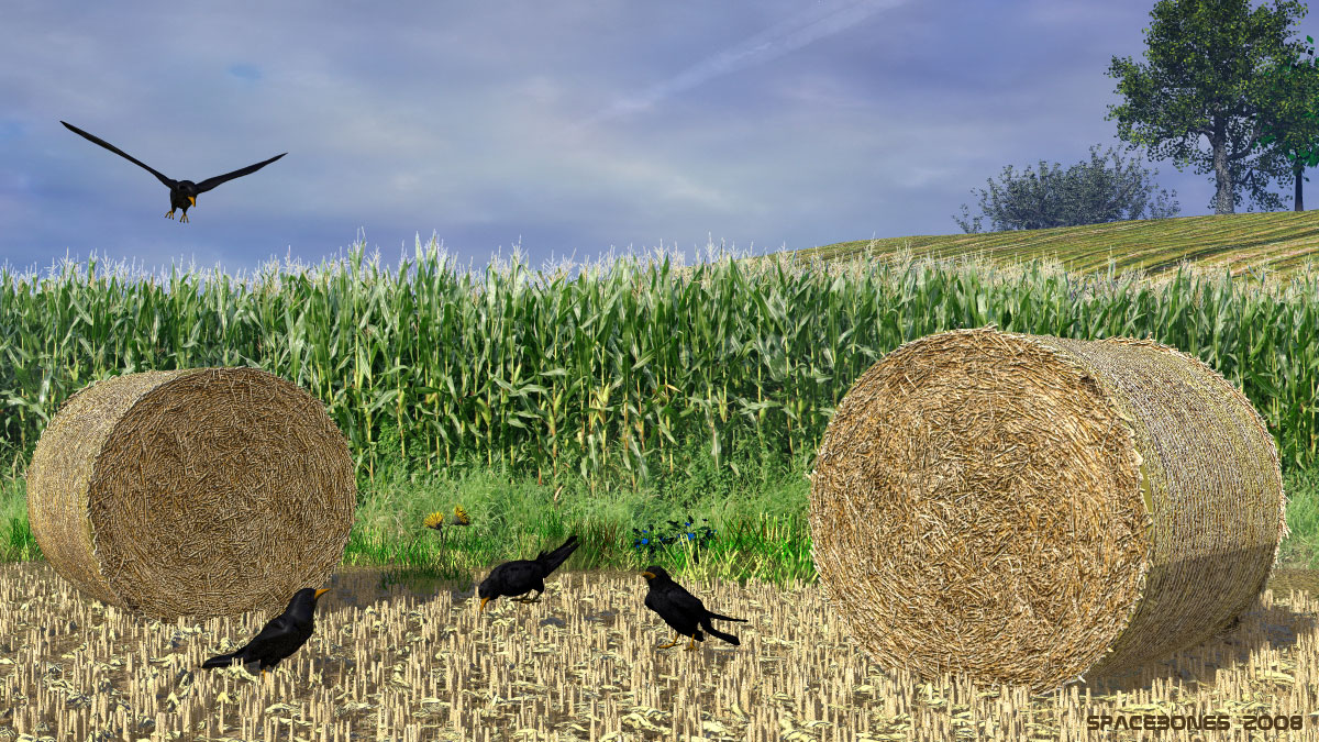 Harvest