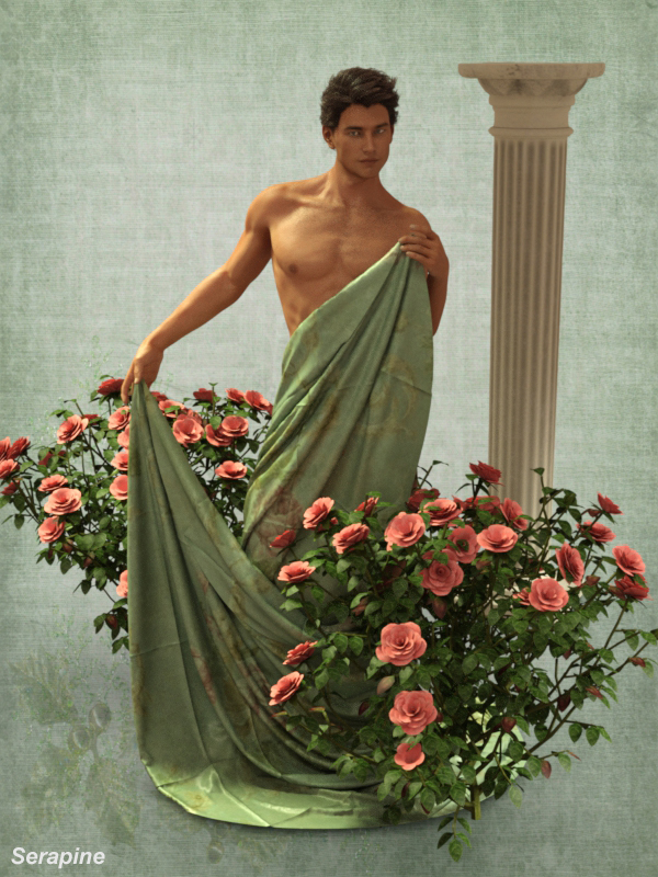 Adonis Rose