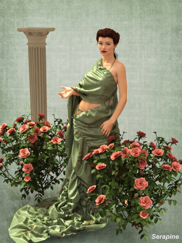 Diva Rose
