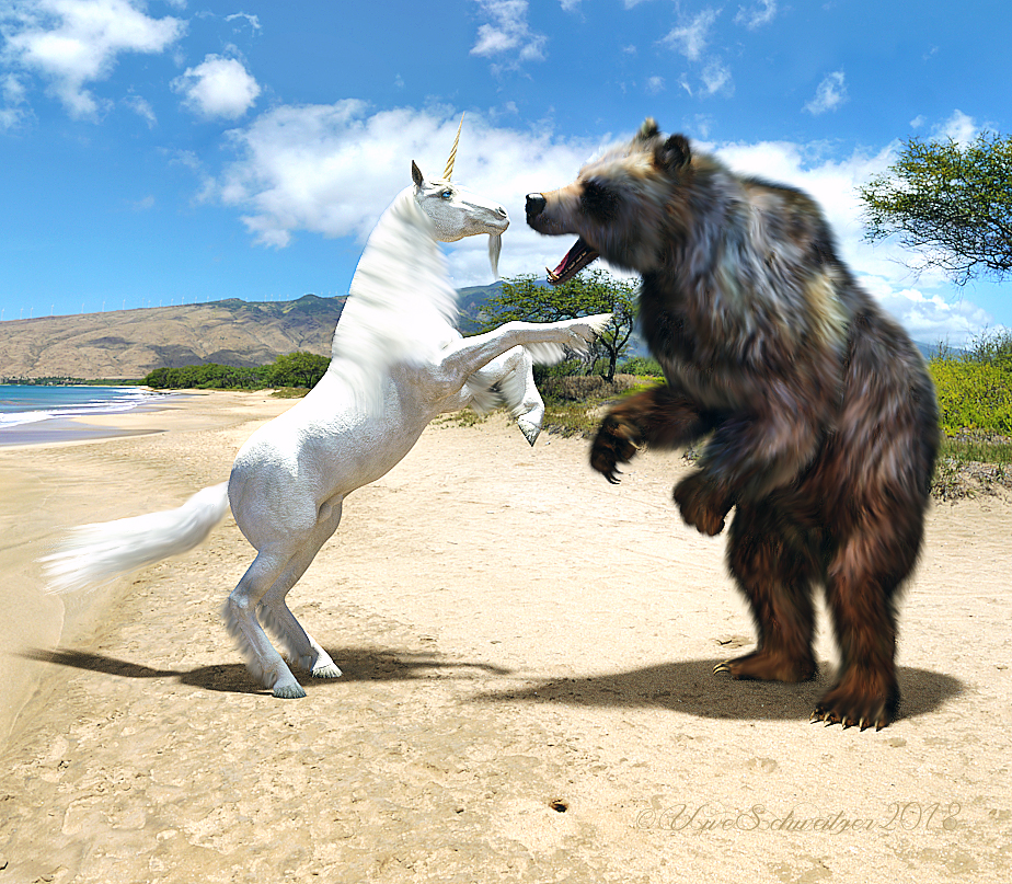 das-einhorn-und-der-bär