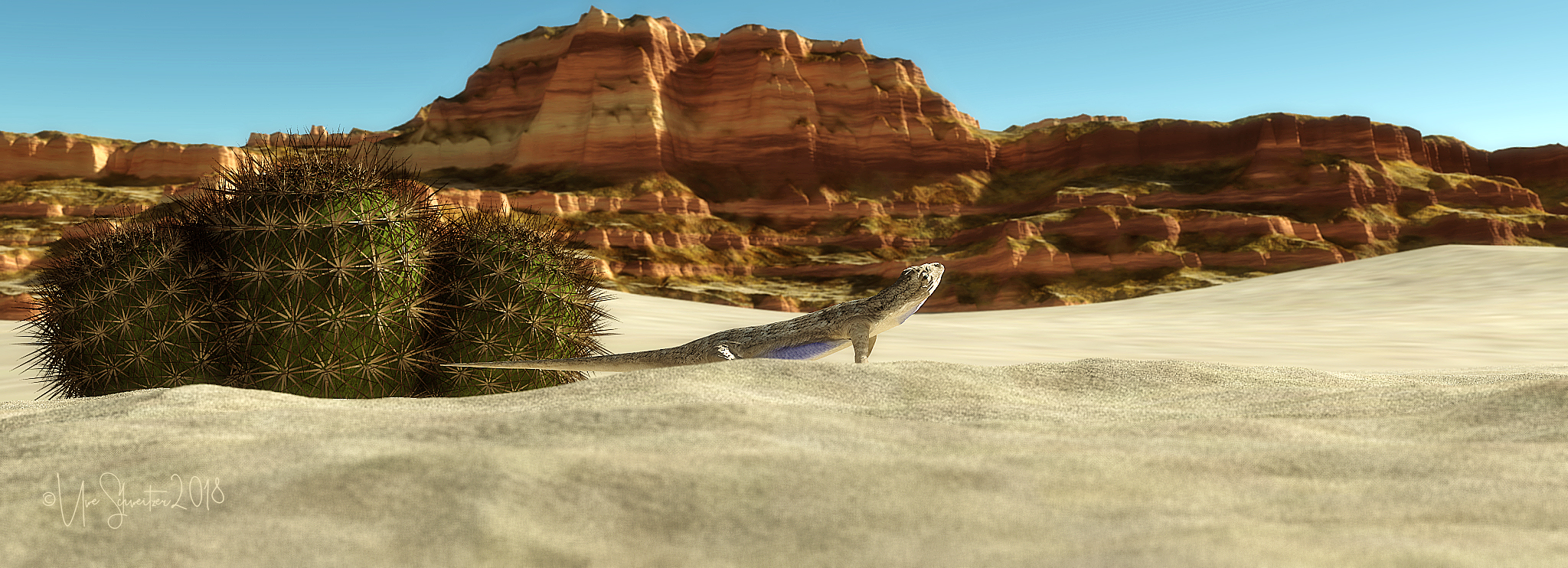 lizard 2