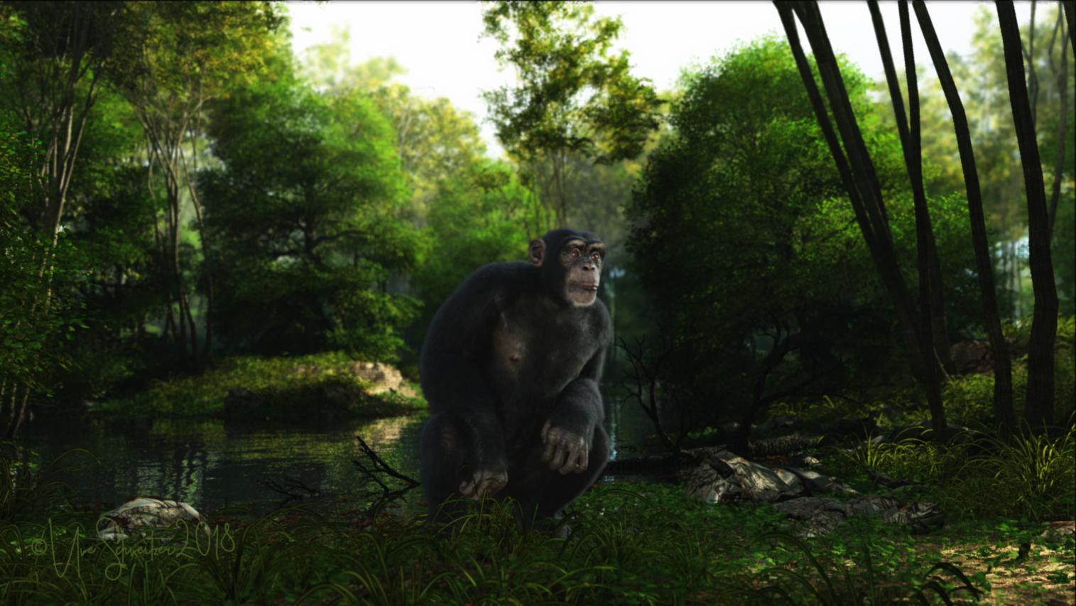 ape