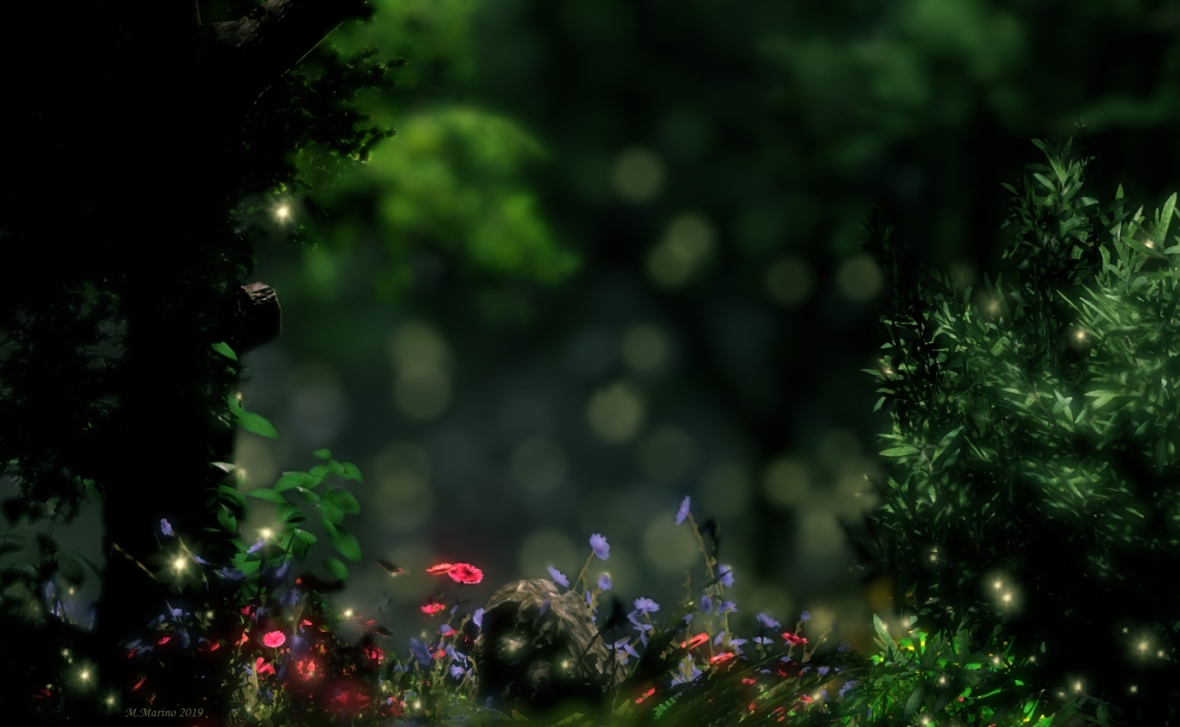 Fireflies in the wood