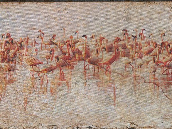 Grunged Flamingos