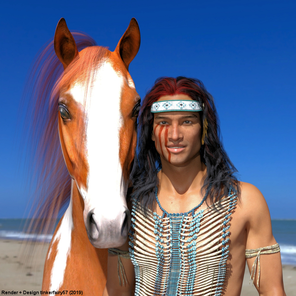 Indianer und sein Pferd