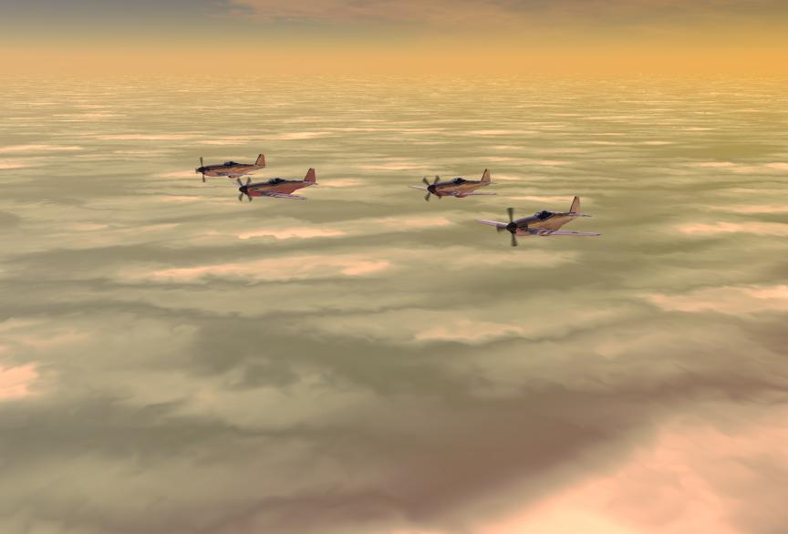 Mustangs