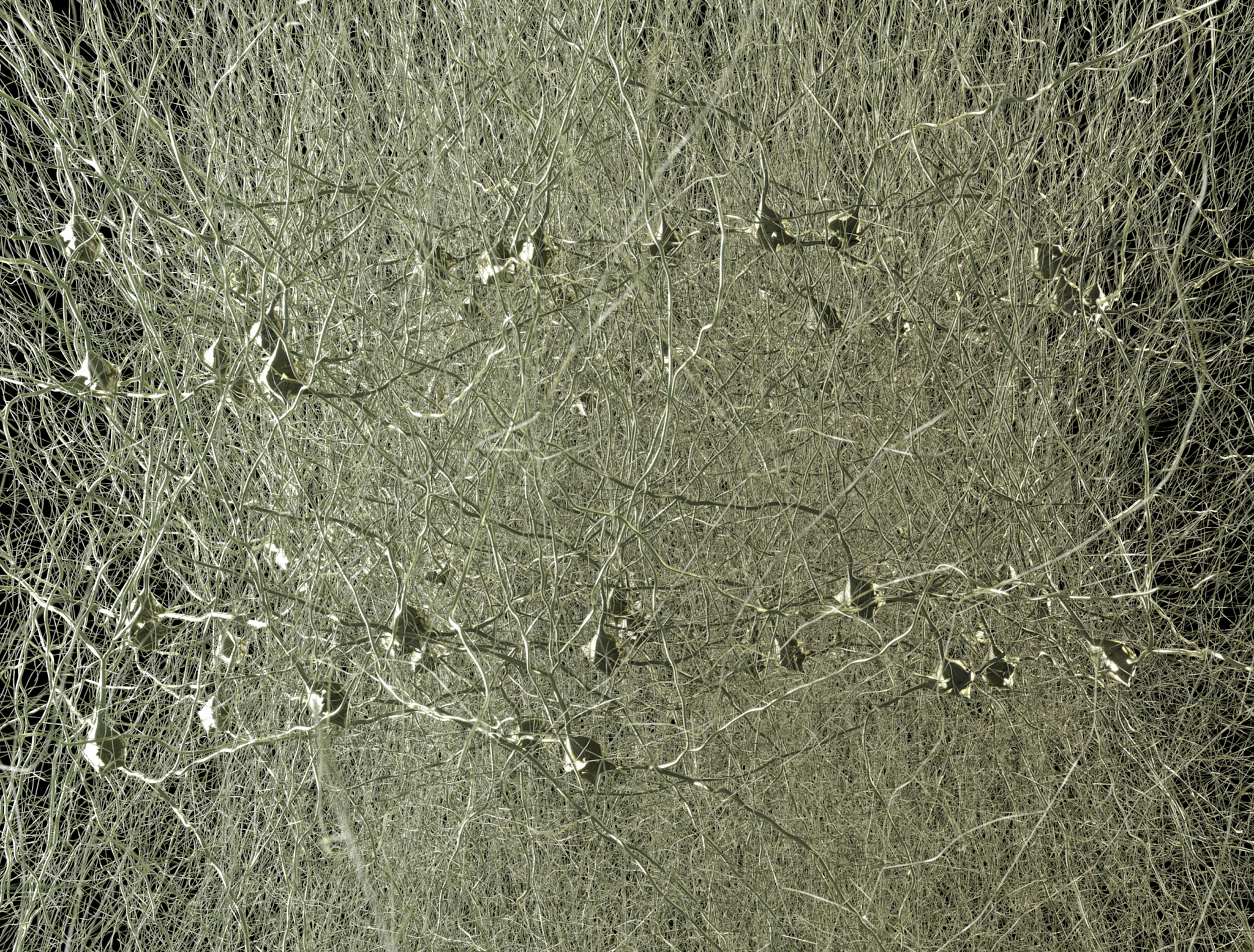 neuronales Netz