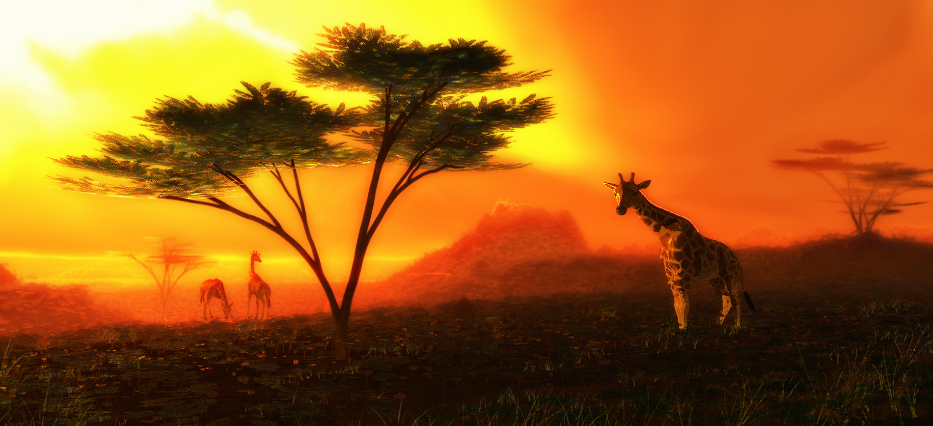 Serengeti Sundown