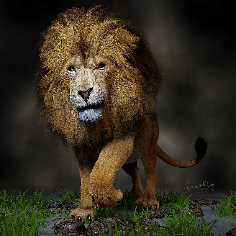 King