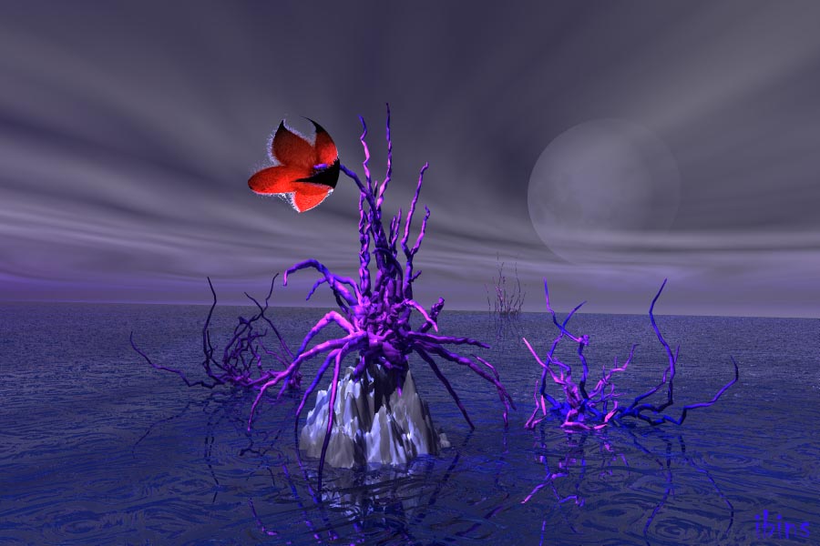 Seltsame Blume