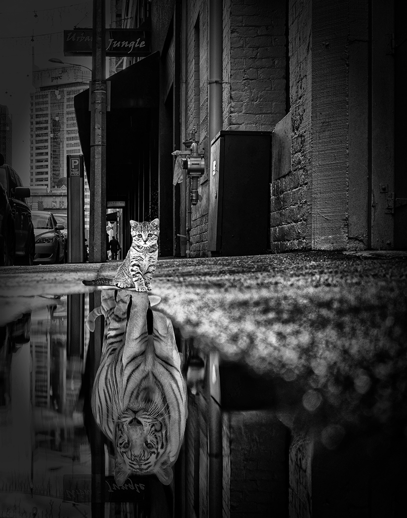 My Roots_2 - Urban Jungle