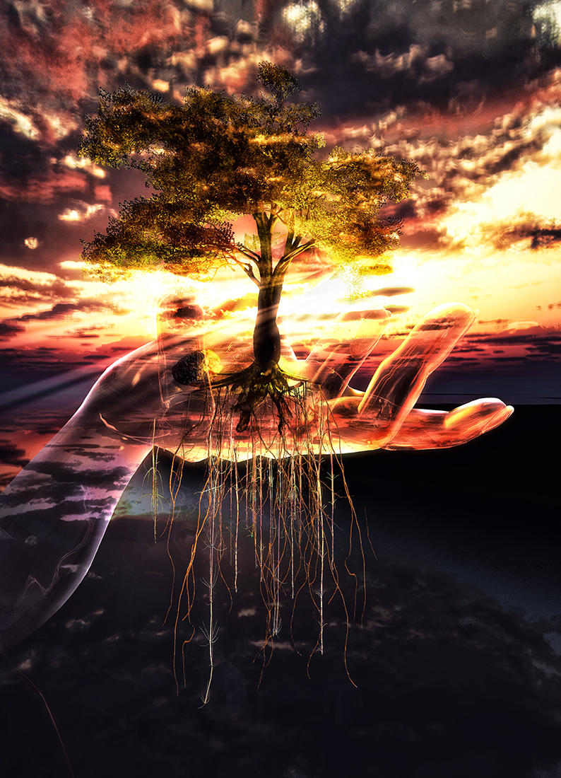 The last tree