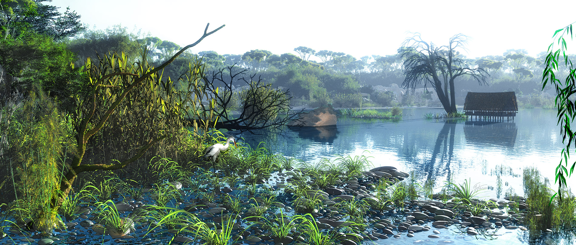 Morning mood by the pond