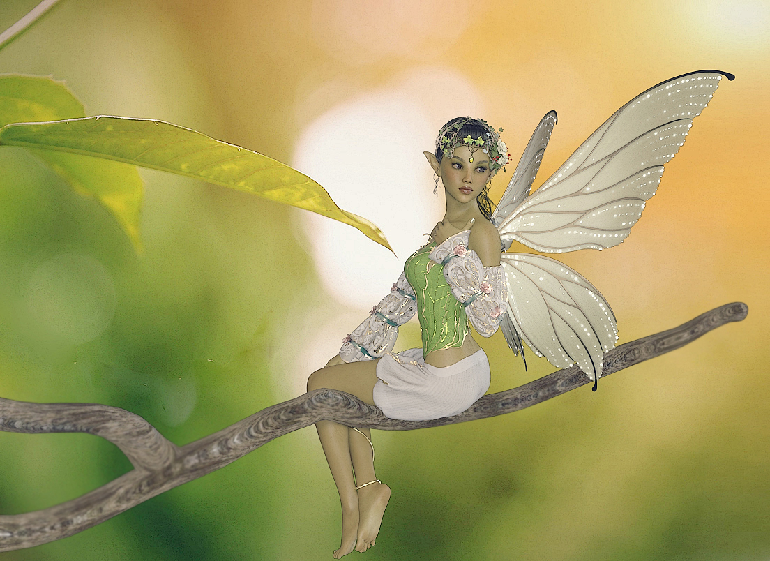 New Fairy