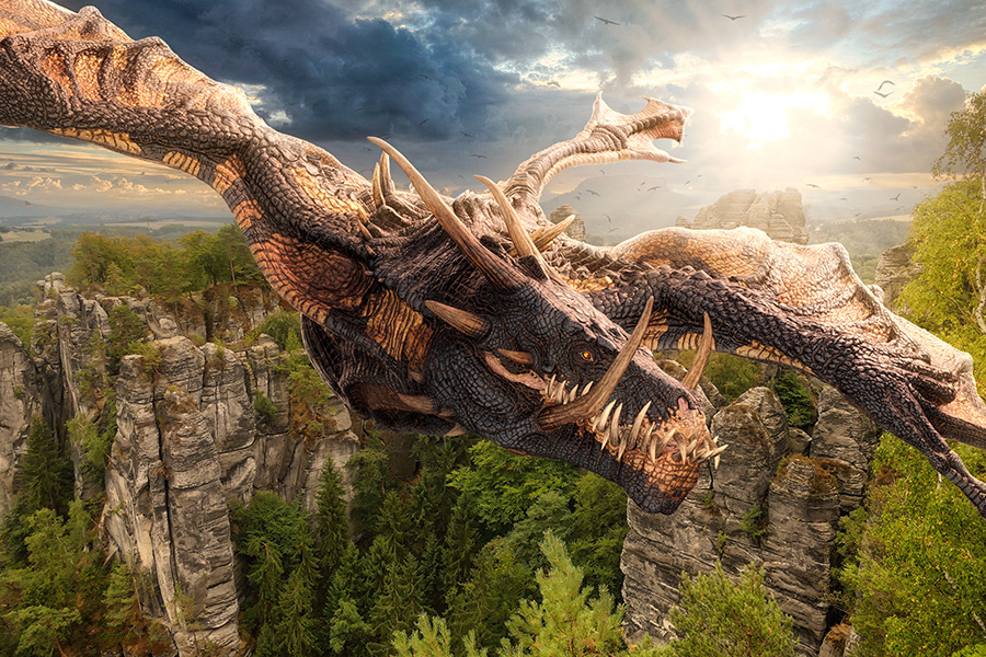 wyvern900x