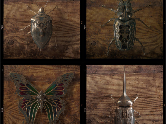 Golden Steampunk Insect´s