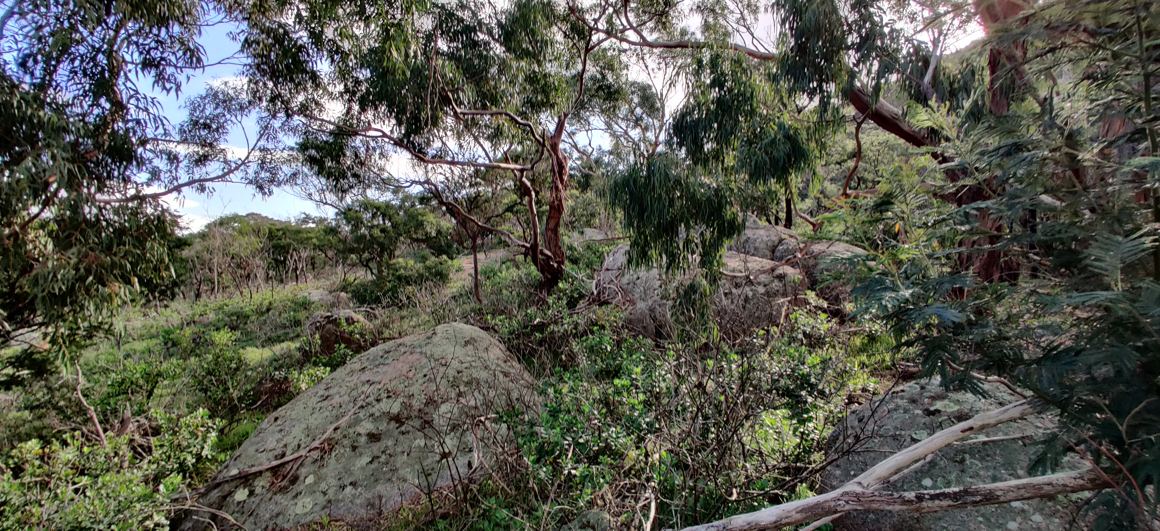 You Yangs Regional Park