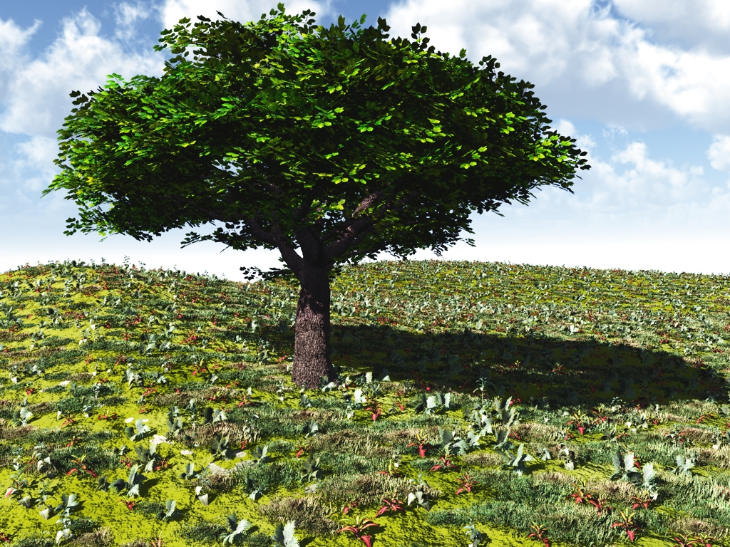 Ein Baum