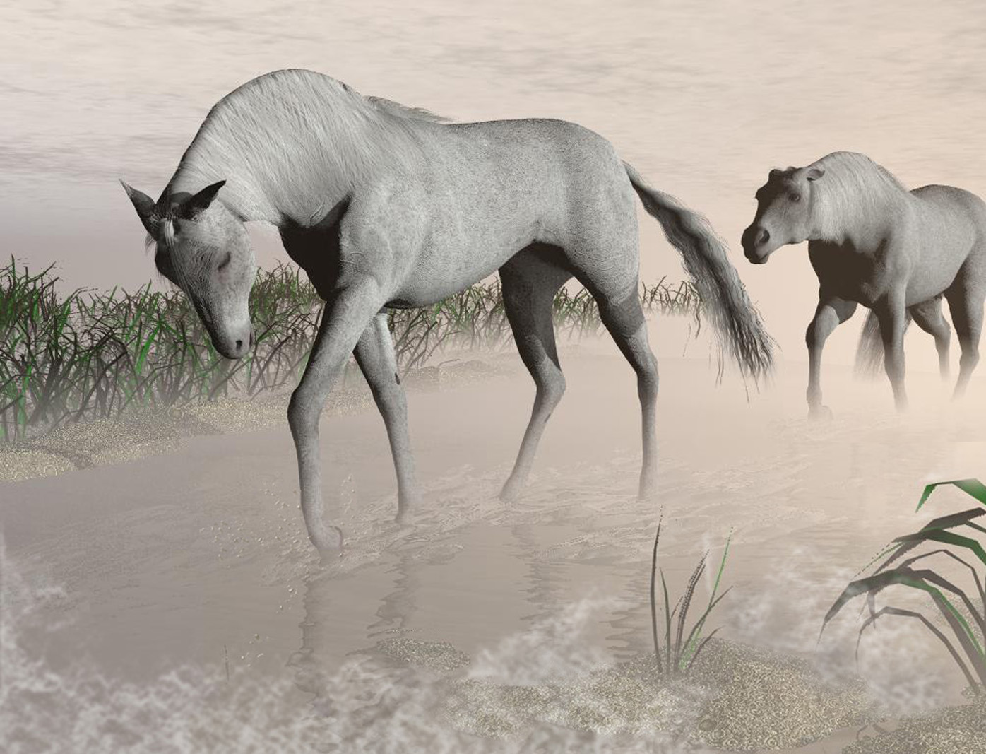 Morgennebel in der Camargue