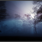 silence