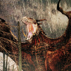 Dragons Dogma