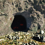 Die Höhle