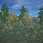 2025 10 Landschaft Norden Herbst G