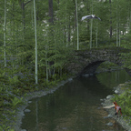 Natur