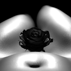 Black Rose IV  V2.0