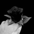 Black Rose I