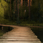 Waldhintergrund