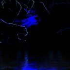 Leopard on the Prowl