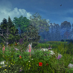 Im Frühtau am Himmelsfahrttag.