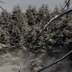 Für Winterfans