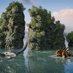 Südsee-Felsen-Areal auf Pachelon