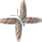 Butterfly3050
