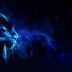 Black Panther in night rain