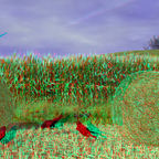 Harvest