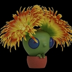 Glückliche Sukkulewnten