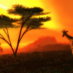 Serengeti Sundown