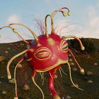 Wuestenhopser Pachelon