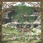 Theater "Animal Pictures A"