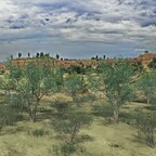 Landschaften Halbwüste A