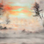 Late Winter. Down below, by the old Willows